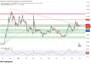 카르다노는 과학적이고 피어 리뷰를 거친 접근으로 보안을 최우선시함.