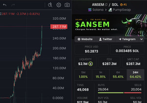 만약 $ansem 시총이 3억 달러에 도달하면, 15명에게 $ansem 2만 달러어치를 쏘겠다고 했죠.
