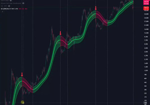 내가 말한 시나리오대로 다 흘러가고 있다.