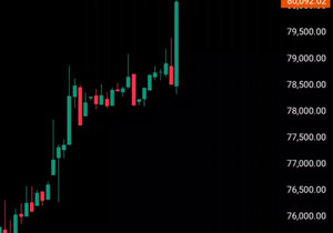 불장 🚀