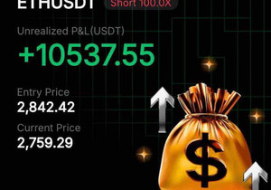 실시간 수익 10,537달러 달성