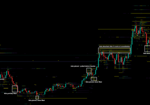 역사적인 맥락을 좀 더하자면: 모든 매수 주문이 항상 체결되는 건 아님.