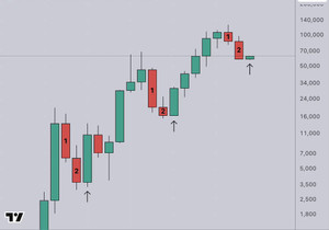 BTC 방금 6개월봉 2연속 음봉으로 마감