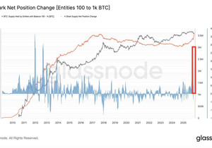 상어들이 비트코인을 미친 듯이 사들이는 중!
