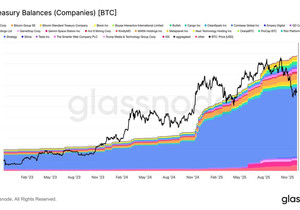 💥 속보: 기업들의 비트코인 보유량이 19.