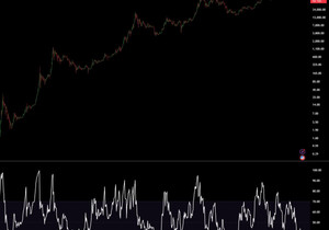 비트코인이 방금 역사를 썼다.