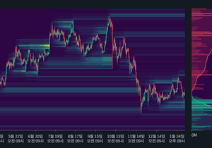 비트코인 청산맵 85k는 거의 죽음을 기다리고 있네..