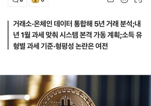 2027년부터는 코인과세 진짜로 할거같음;