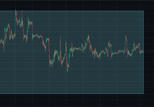 11월21일부터 지금까지 수렴중이야