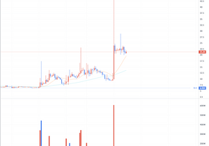 빗썸 노미나 상폐빔 미쳤네 ㅋㅋㅋㅋ