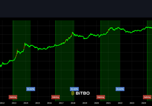 유명한 비트코인 반감기 차트를 보자