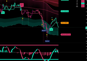 오랜만에 트레이딩뷰 유료차트 공유