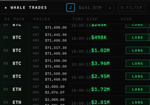 고래들 전부 롱 포지션 잡기 시작함