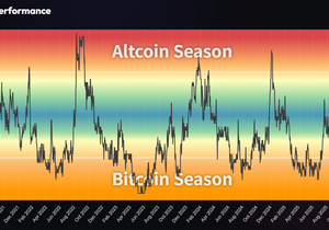 지금이 알트코인 시즌 약불장이라는게 안믿긴다