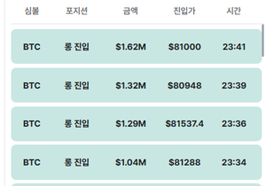 돌고래들 롱친다