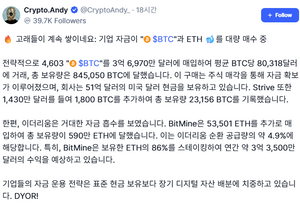 기업들은 비트,이더 계속 모은다는데