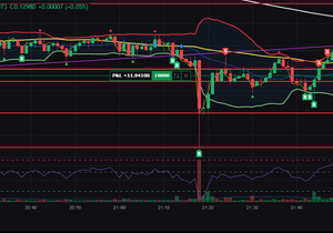 신규주 맛있따아