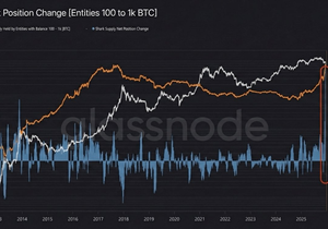비트코인 상어들 미친듯이 매수하는중