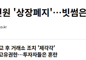 봉크 코인 상폐당한거보니까
