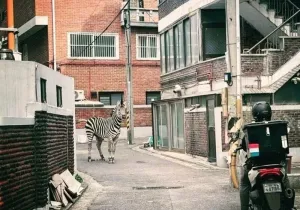 비트 75k 안착하면 또 데드캣이라고 언플나올거임