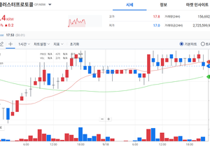 섹타는 모르겠고 상승하면 무조건 근본코인