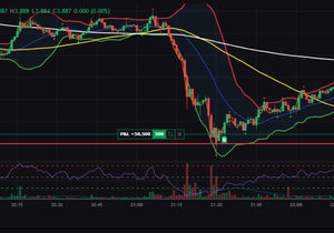 비트 탈출 기념 포크 털어먹기