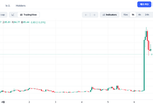 페이코인이 알트불장 출발신호였음 좋컸다 ㅜㅜ