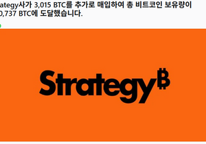 마이크로 스트래지 비트보유량 72만개
