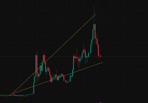 비트말고 BNB에 올빵할까 생각중