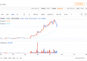 카이아 오르는 이유가 국내 스테이블 때문인가?