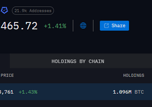 사토시 부계정 의심, 비트코인 8145개 매수