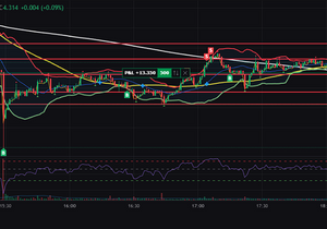 FOLK 포크로 구멍낼때까지 팬다