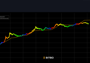 비트코인의 현재 위치 공유