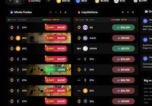 돌고래들 숏 포지션 엄청 잡았따