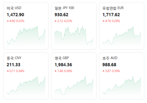 환율 이제 막을생각이 없나보오