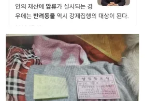 재산 압류당할때 강아지는 어떻게 될까...?