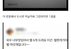 유명 유튜버가 뜨자 5300개 리뷰 삭제.jpg