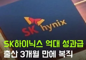 SK하이닉스 성과급 레전드 근황 ㄷㄷ