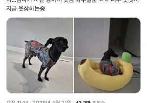 엄마가 사온 강아지옷.jpg