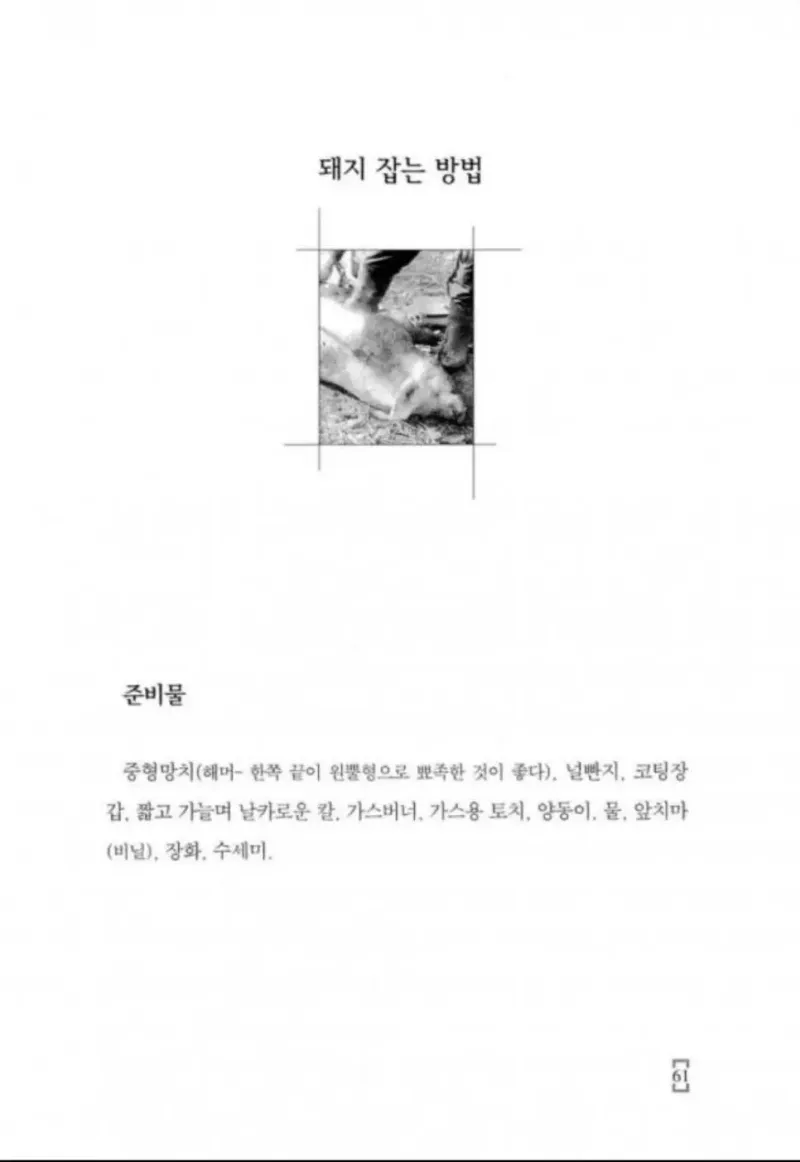 2.webp