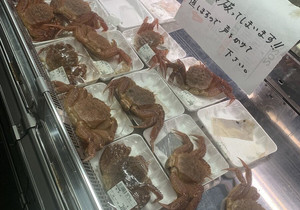 신선하지 않으면 100% 환불.jpg