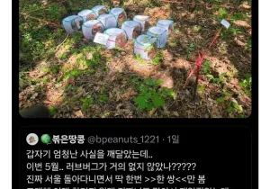 올해 러브버그가 잘 안보이는 이유.JPG