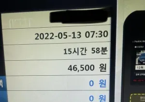 차에서 낮잠자고 46500원