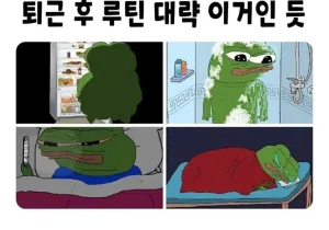 직장인 퇴근후 루틴
