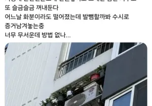 인기글 썸네일