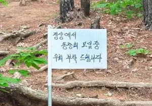 인기글 썸네일