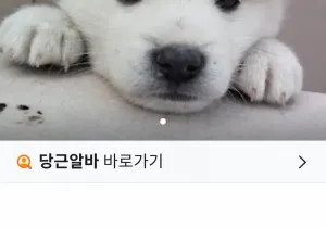 경쟁률 200:1 당근알바