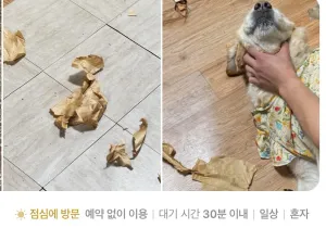 맛있는 빵 후기.jpg
