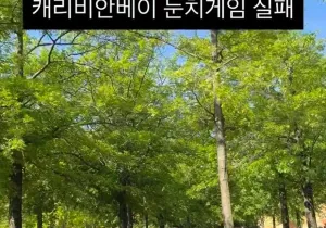 엄마 더운데 캐리비안베이 가자!