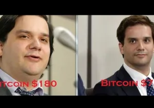 마운트곡스 전 CEO 마크 카펠레스 2014년 붕괴와 일본 구금 상세 공개